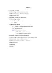 Kontrolingo paskaitų konspektas 2 puslapis