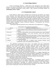 Kontrolingo paskaitų konspektas 16 puslapis