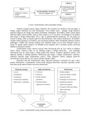 Kontrolingo paskaitų konspektas 17 puslapis