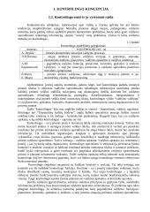 Kontrolingo paskaitų konspektas 3 puslapis