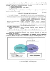 Kontrolingo paskaitų konspektas 5 puslapis