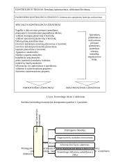 Kontrolingo paskaitų konspektas 7 puslapis