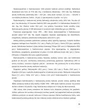 Krizių vadyba bankroto atveju 16 puslapis