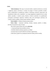 Kultūrinių skirtumų ypatumų analizė. Referatas 2 puslapis