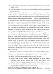 Kultūrinių skirtumų ypatumų analizė. Referatas 11 puslapis