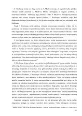 Kultūrinių skirtumų ypatumų analizė. Referatas 12 puslapis