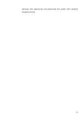 Kultūrinių skirtumų ypatumų analizė. Referatas 16 puslapis