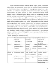 Kultūrinių skirtumų ypatumų analizė. Referatas 9 puslapis