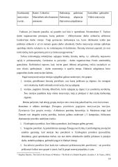 Kultūrinių skirtumų ypatumų analizė. Referatas 10 puslapis