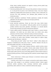 UAB „Kruzas NCD“ logistinė analizė 11 puslapis