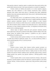 UAB „Kruzas NCD“ logistinė analizė 15 puslapis