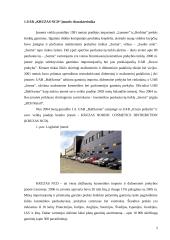 UAB „Kruzas NCD“ logistinė analizė 4 puslapis