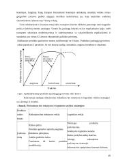 Tarptautinė logistika ir jos formavimo ypatybės DSV Transport 15 puslapis