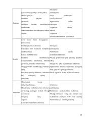 Tarptautinė logistika ir jos formavimo ypatybės DSV Transport 16 puslapis