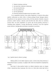 Logistinės veiklos Europos Sąjungoje organizavimo ypatumai kelių transporte 16 puslapis