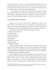 Logistinės veiklos Europos Sąjungoje organizavimo ypatumai kelių transporte 17 puslapis