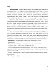 Logistinės įmonės X veiklos analize Lietuvoje ir perspektyvos ES 2 puslapis