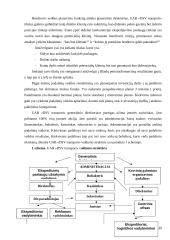 Logistinės įmonės X veiklos analize Lietuvoje ir perspektyvos ES 12 puslapis