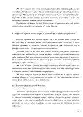 Logistinės įmonės X veiklos analize Lietuvoje ir perspektyvos ES 14 puslapis