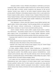 Logistinės įmonės X veiklos analize Lietuvoje ir perspektyvos ES 6 puslapis