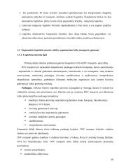 Logistinės įmonės X veiklos analize Lietuvoje ir perspektyvos ES 10 puslapis