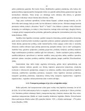 UAB "Regneta" logistinė veikla 13 puslapis