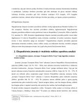 Ekspedicinių įmonių, gabenančių krovinius, sąsajos su muitinės institucijomis 19 puslapis