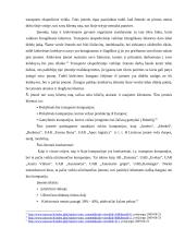 Ekspedicinių įmonių, gabenančių krovinius, sąsajos su muitinės institucijomis 20 puslapis