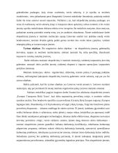 Ekspedicinių įmonių, gabenančių krovinius, sąsajos su muitinės institucijomis 3 puslapis