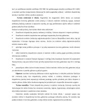 Ekspedicinių įmonių, gabenančių krovinius, sąsajos su muitinės institucijomis 4 puslapis