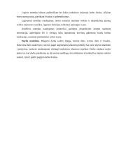 Ekspedicinių įmonių, gabenančių krovinius, sąsajos su muitinės institucijomis 5 puslapis