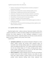 Logistinio aptarnavimo svarba transporto įmonei 13 puslapis