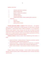 Logistinio aptarnavimo svarba transporto įmonei 16 puslapis