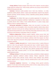 Logistinio aptarnavimo svarba transporto įmonei 17 puslapis