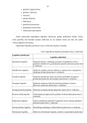 Logistinio aptarnavimo svarba transporto įmonei 19 puslapis