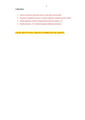 Logistinio aptarnavimo svarba transporto įmonei 3 puslapis