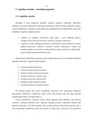 Logistinio aptarnavimo svarba transporto įmonei 10 puslapis