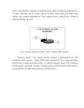 Logistikos proceso optimizavimas tyrimas 2 puslapis