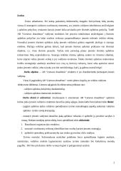 Organizacijos valdymo struktūra 2 puslapis