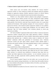 Organizacijos valdymo struktūra 3 puslapis