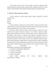 Organizacijos valdymo struktūra 4 puslapis