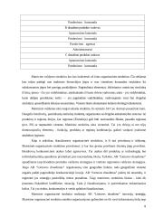 Organizacijos valdymo struktūra 8 puslapis