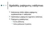 Verslo operacijų valdymas 18 puslapis