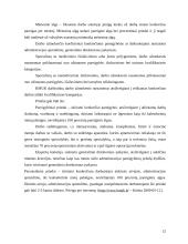 Atlyginimo už darbą sistemos tobulinimas 12 puslapis