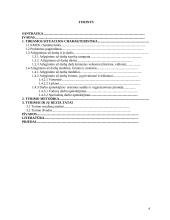 Atlyginimo už darbą sistemos tobulinimas 4 puslapis