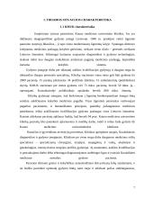 Atlyginimo už darbą sistemos tobulinimas 7 puslapis