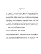 Audito proceso nuoseklumas 2 puslapis