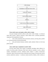 Audito proceso nuoseklumas 3 puslapis