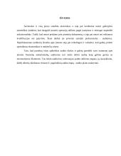 Audito proceso nuoseklumas 6 puslapis