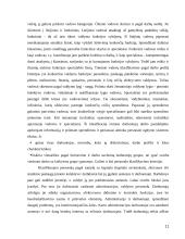 Personalo struktūros formavimas  11 puslapis